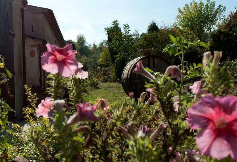 Vallacchi Bed & Breakfast