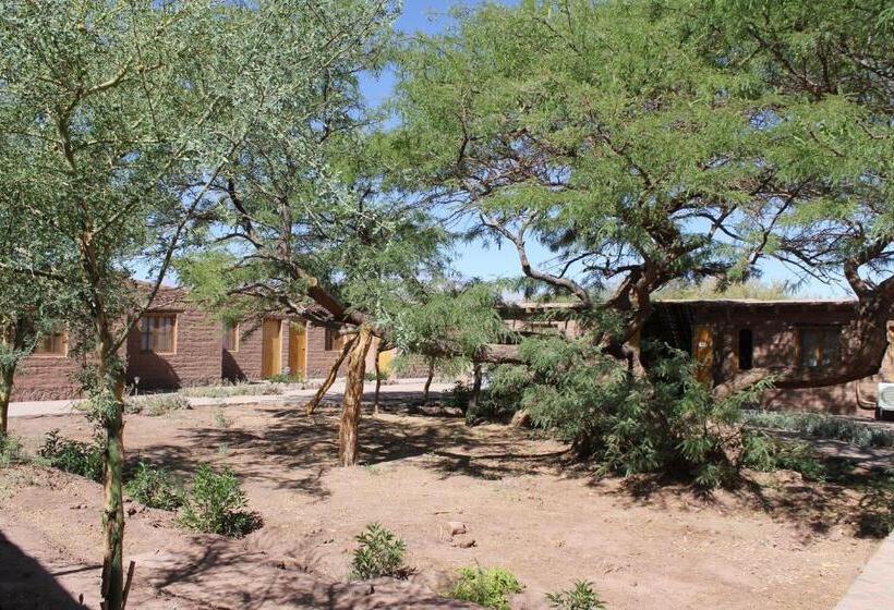 هتل Casa Don Esteban