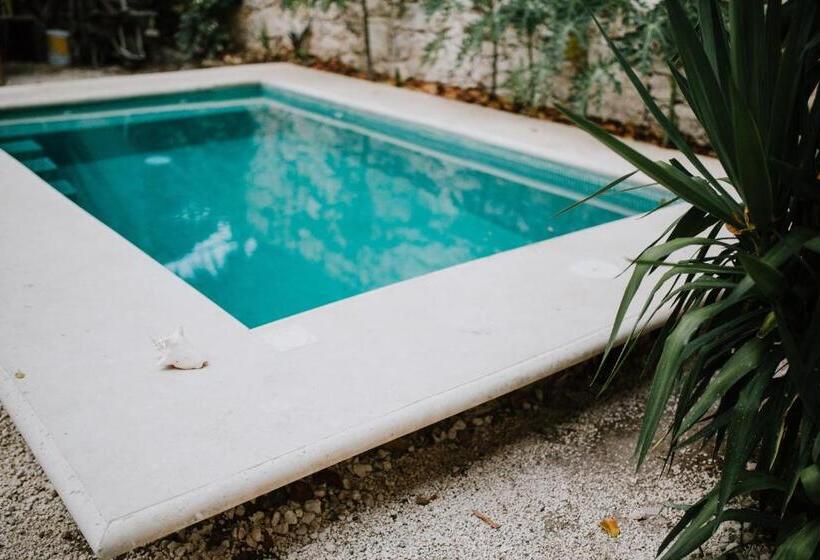 호텔 Xiknal Cozumel