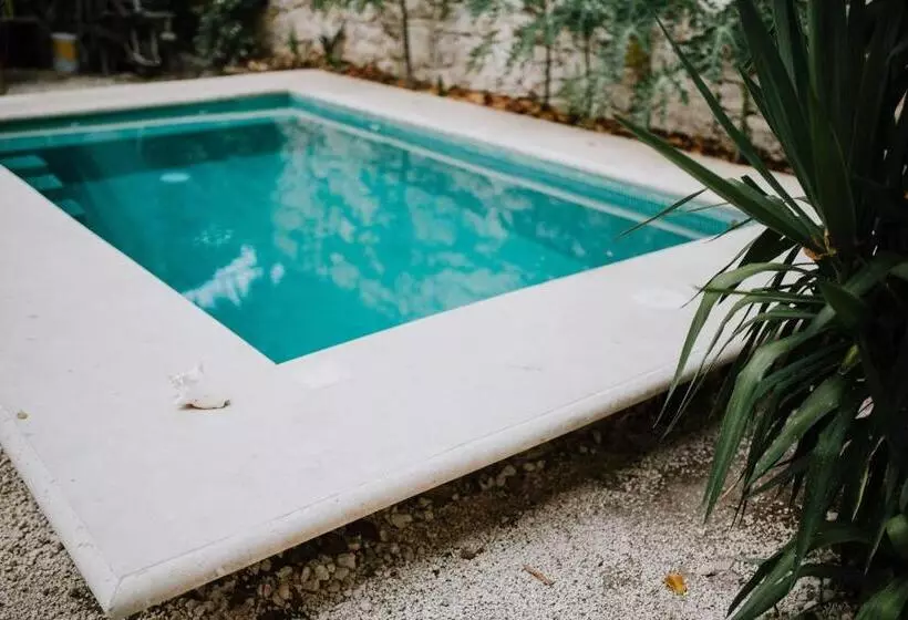 Hotelli Xiknal Cozumel