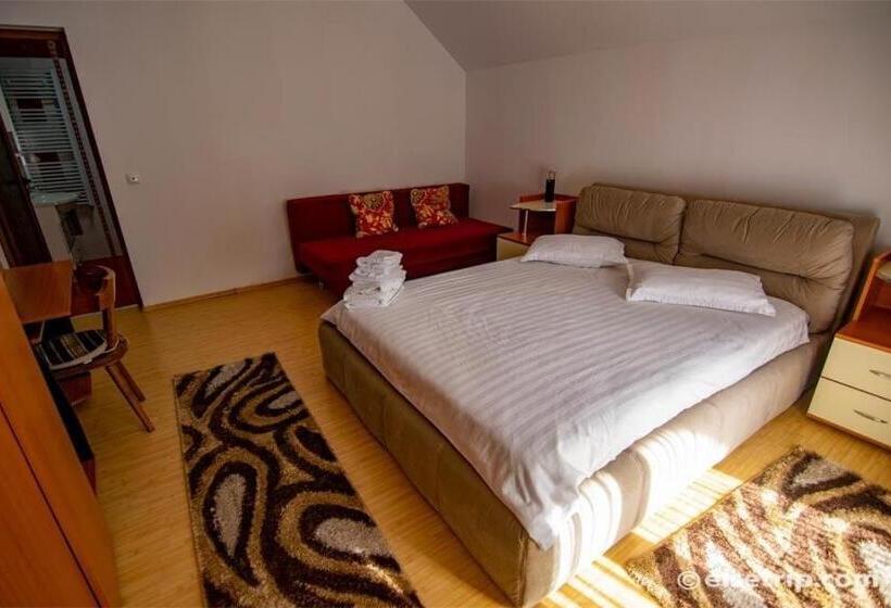 پانسیون Casa Cu Flori Moisei