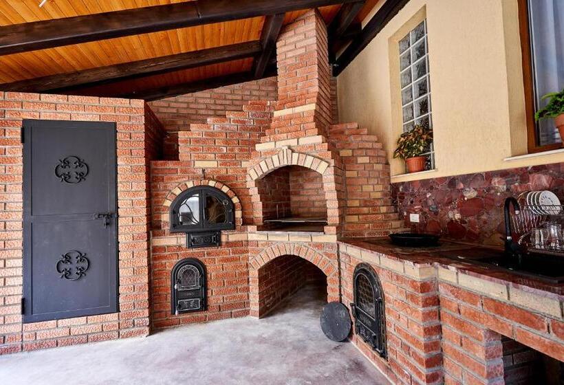 پانسیون Casa Cu Flori Moisei