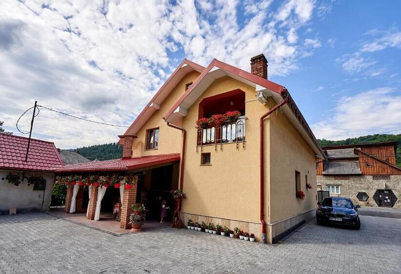 پانسیون Casa Cu Flori Moisei