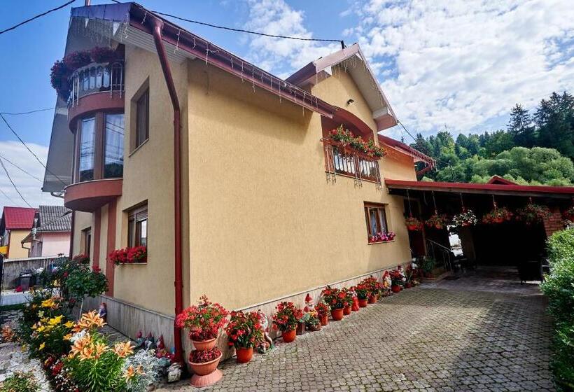 پانسیون Casa Cu Flori Moisei