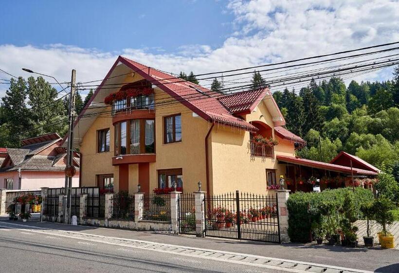 پانسیون Casa Cu Flori Moisei