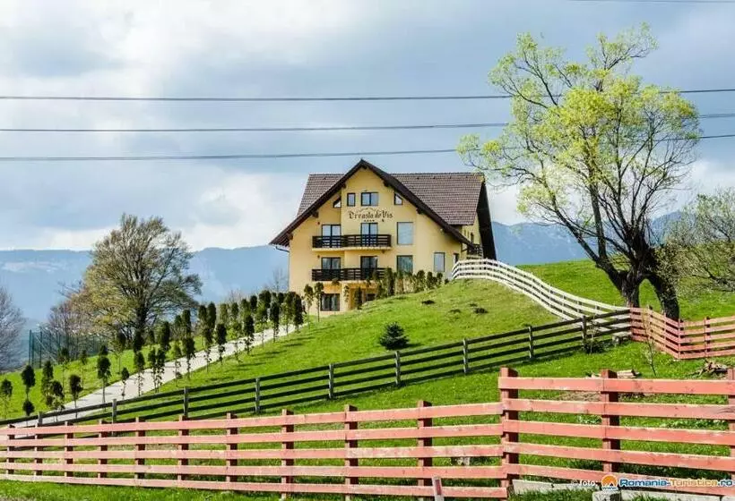 Pension Creasta De Vis