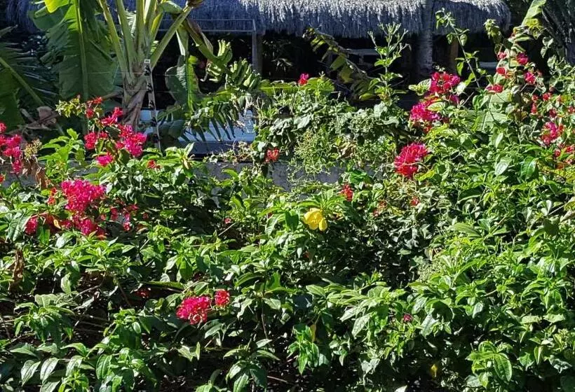 ユースホステル Pousada Agua Marinha