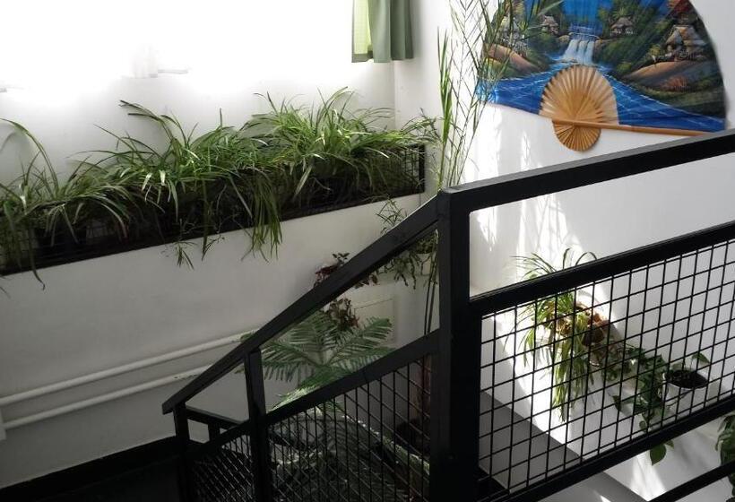 مبيت وإفطار Bélkő Panzió