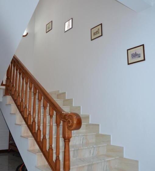 هتل Pensiunea Zana Muntilor