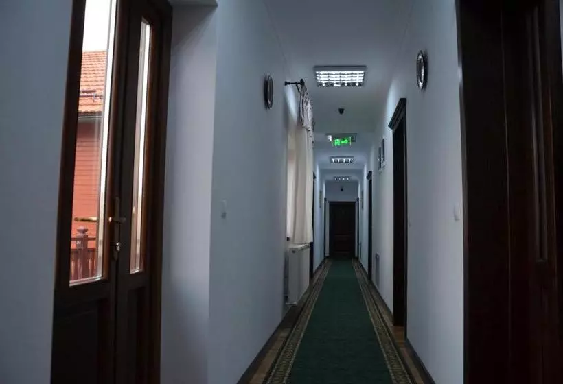 ホテル Pensiunea Zana Muntilor