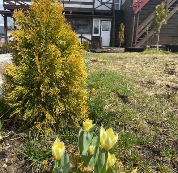 פנסיון гостьовий дім круасан сімейний