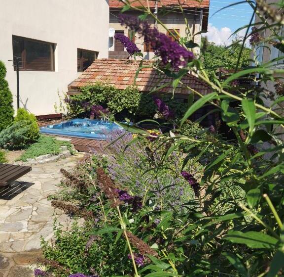 Majatalo Mira Guest House