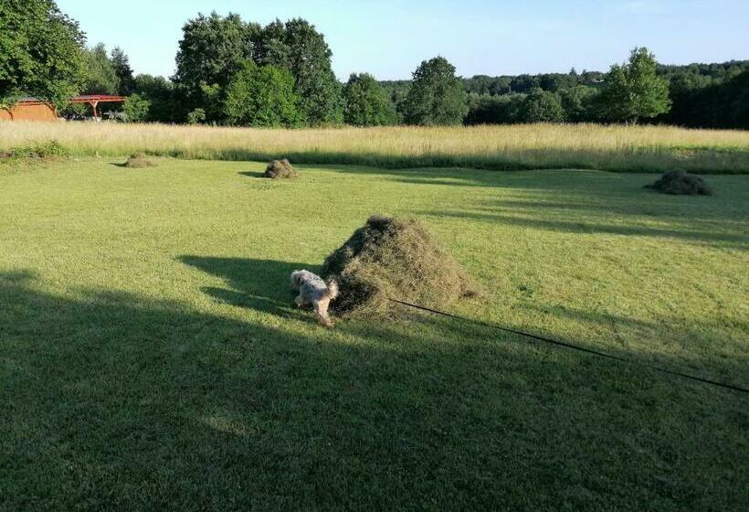 Pensjonat Orbán Porta