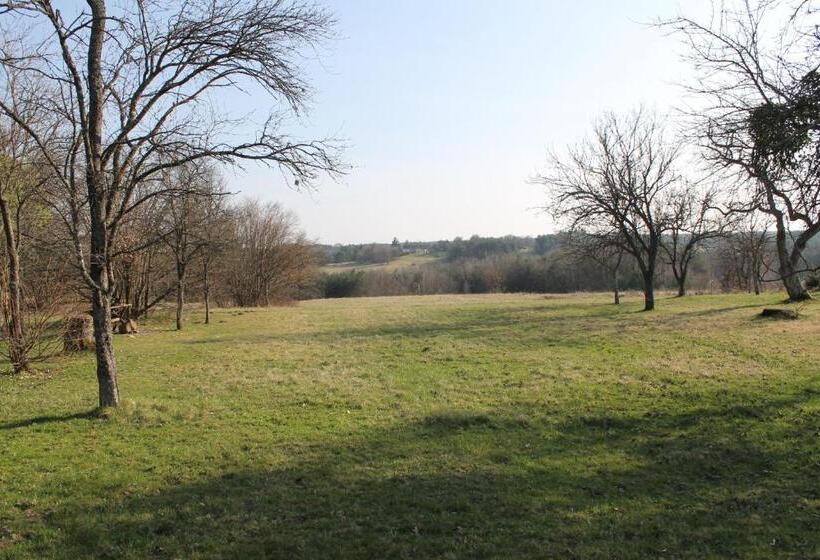 Pensjonat Orbán Porta