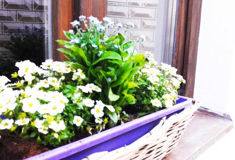 פנסיון U Kalíšku