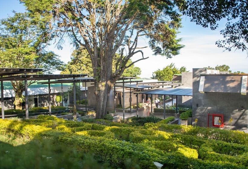 هتل Casa 1800 Cerro Verde Boutique