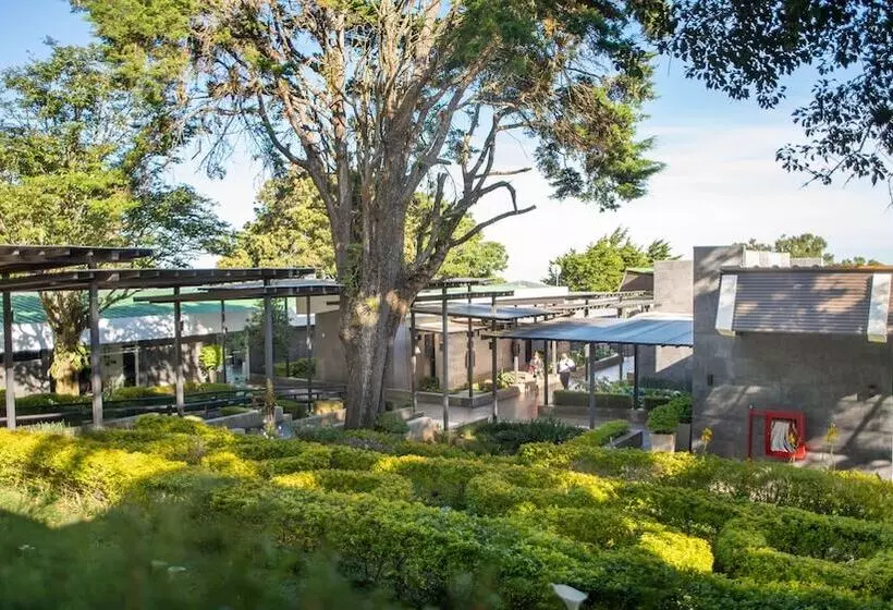 ホテル Casa 1800 Cerro Verde Boutique