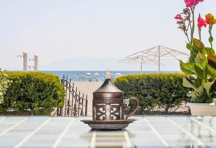 ホテル Colophon Beach