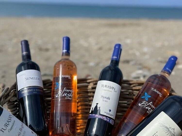 ホテル Colophon Beach