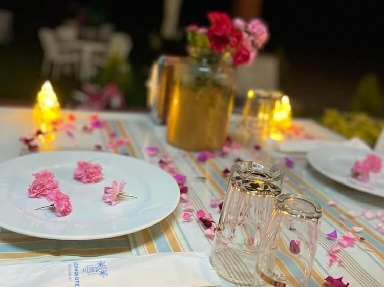 ホテル Colophon Beach