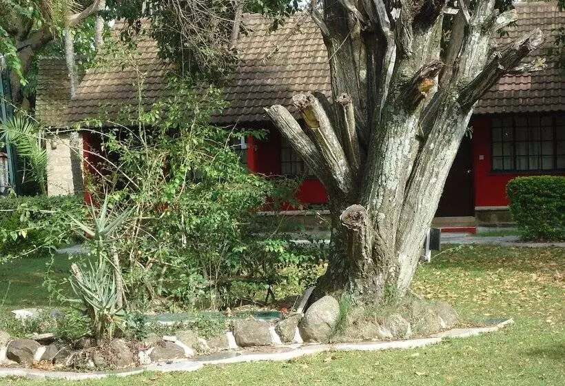 هتل Mara River Lodge