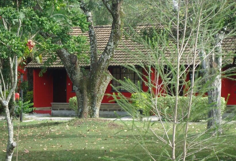 هتل Mara River Lodge