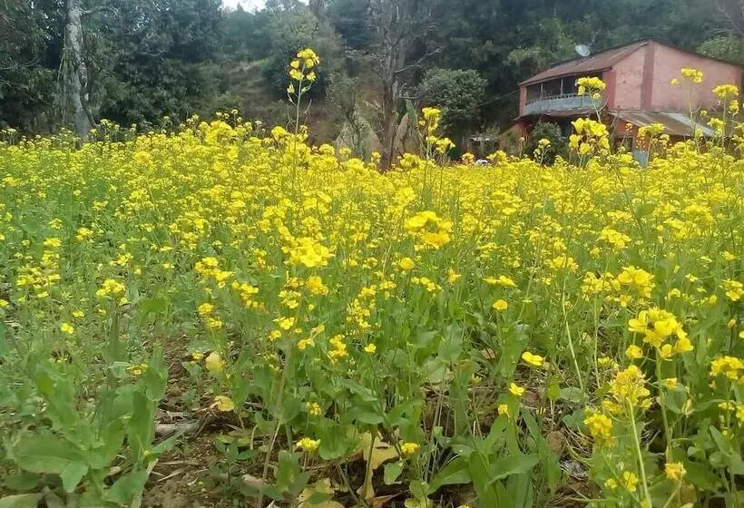 هتل Nature Side Cottage