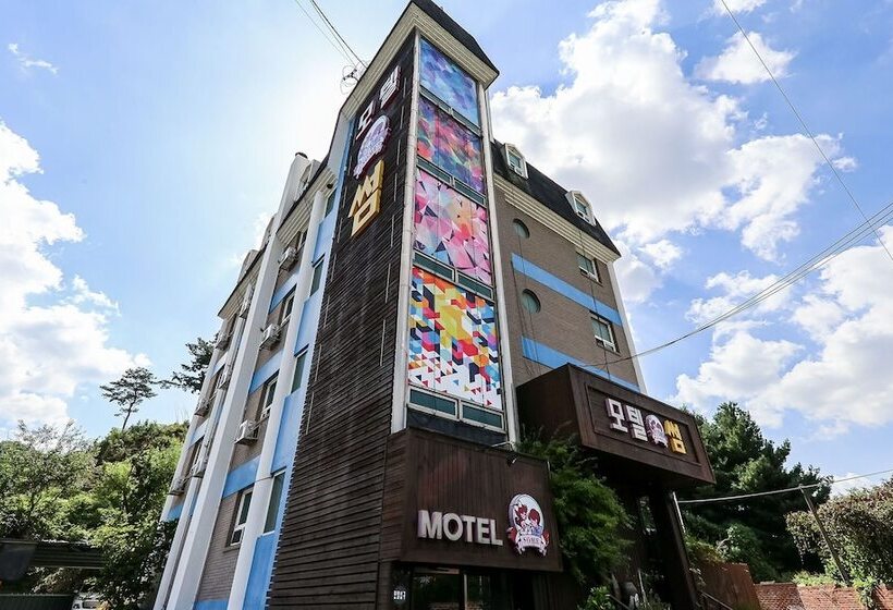 Hotel Sejong Some