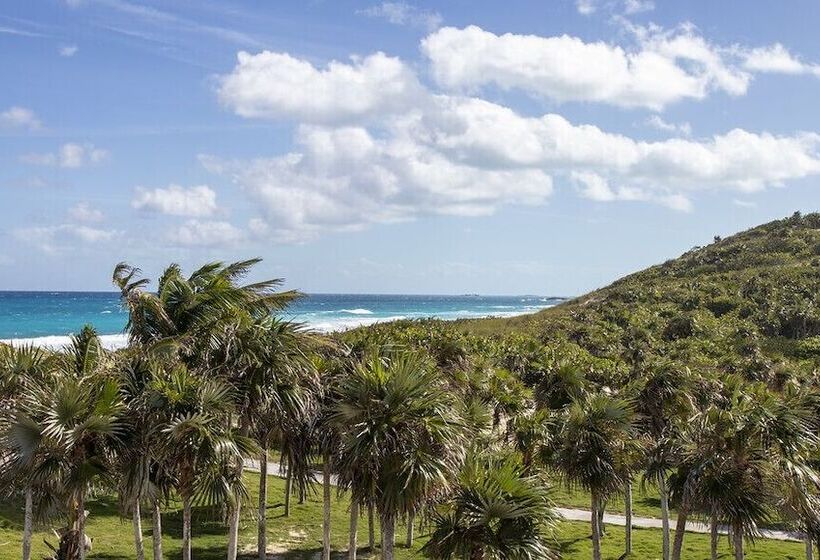 هتل Saint Francis Resort