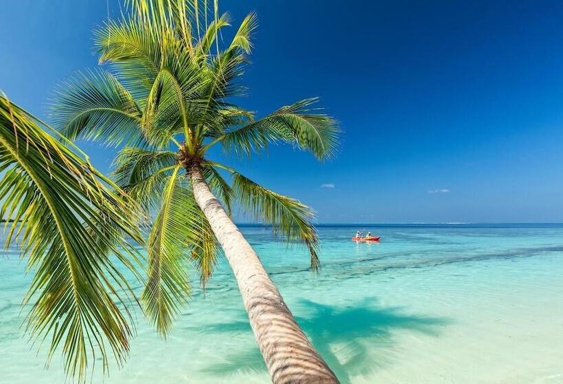 هتل Saint Francis Resort