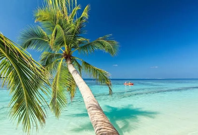 هتل Saint Francis Resort