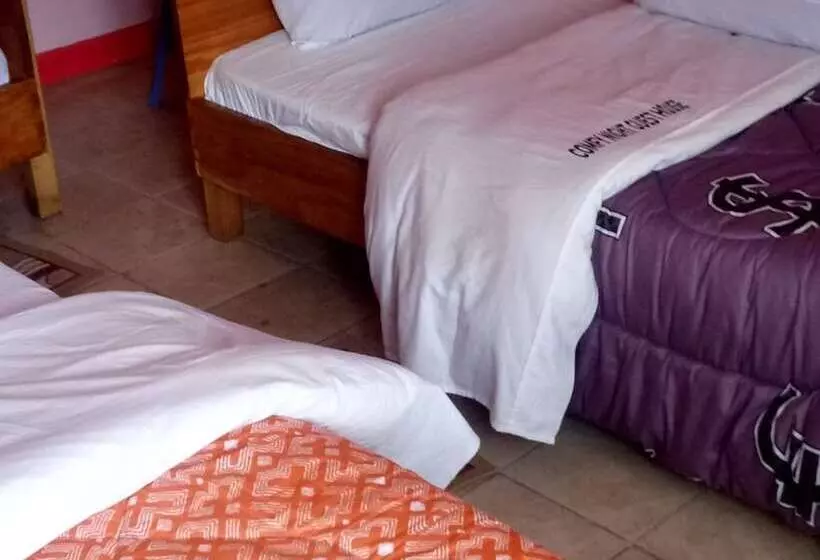 هتل Comfy Night Guest House