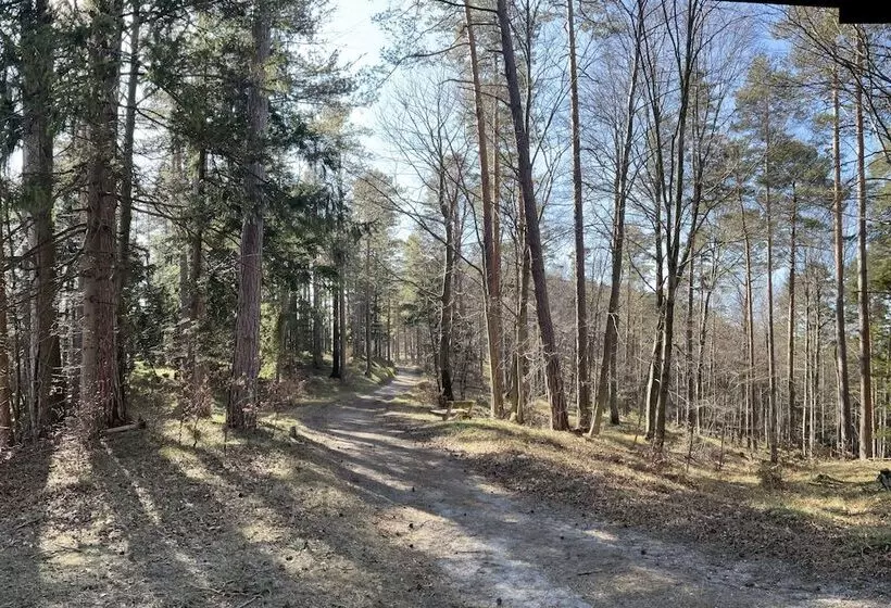 Hotelli Dorfpension Mariahilfberg