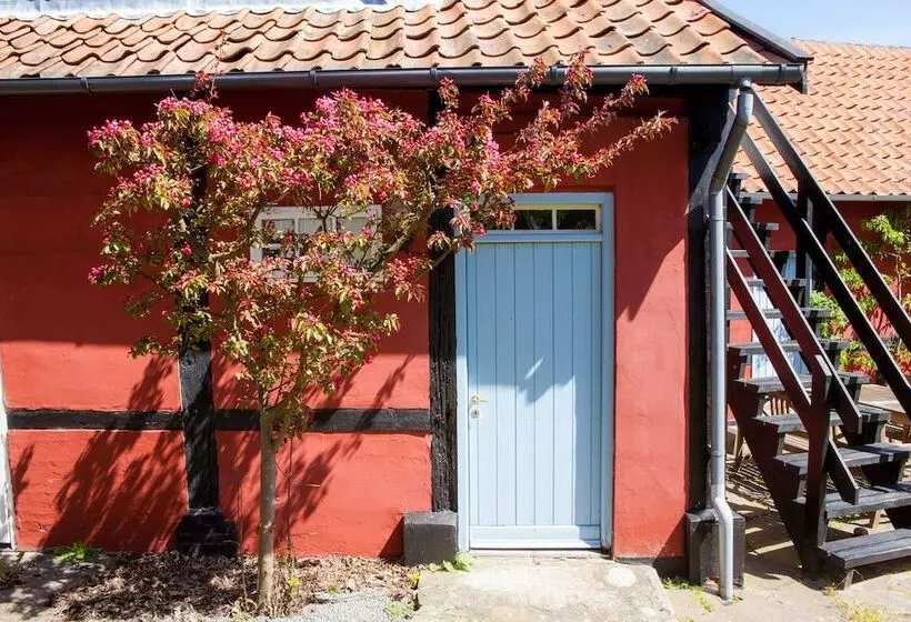 ホテル Pensionat Næsgaarden