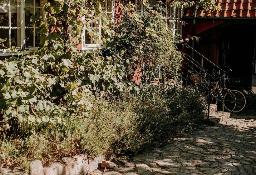 בית מלון כפרי Pensionat Næsgaarden