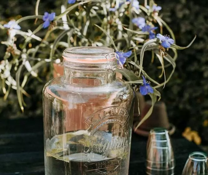 ホテル Pensionat Næsgaarden