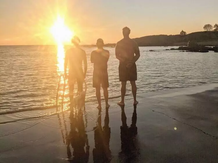 ホテル Pensionat Næsgaarden