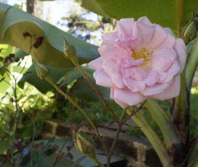 هتل Utamaduni House