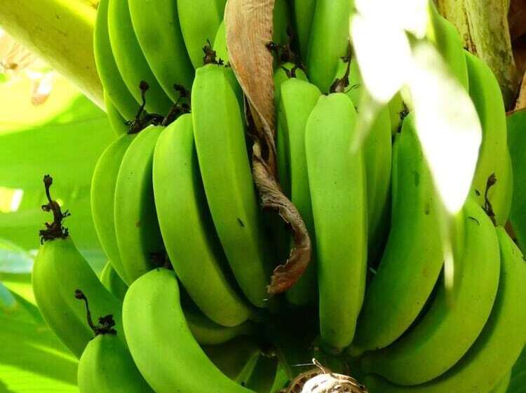 هتل Utamaduni House