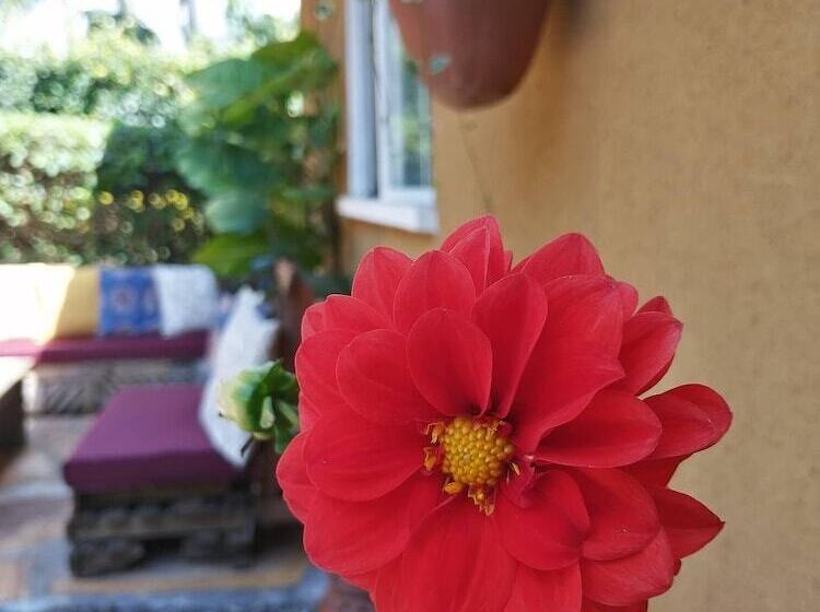 هتل Utamaduni House