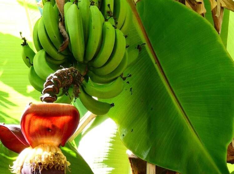 هتل Utamaduni House