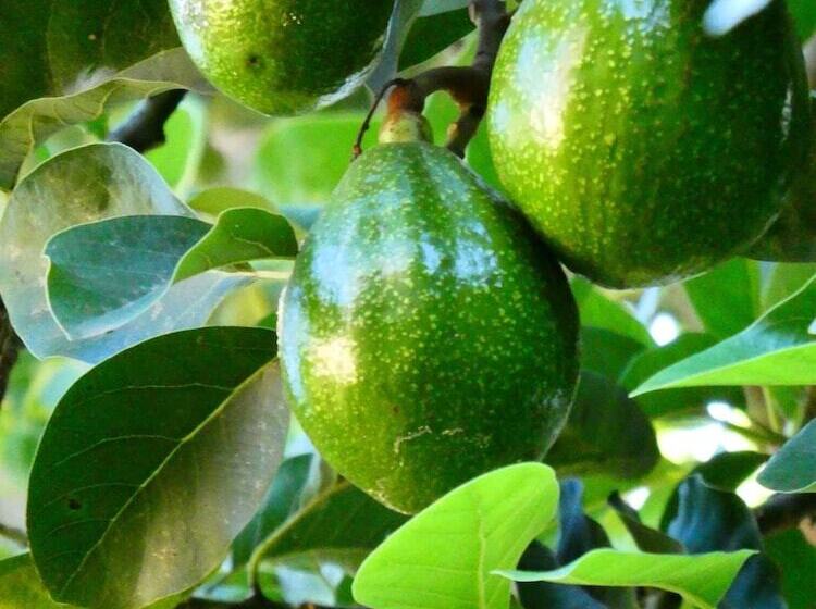 هتل Utamaduni House