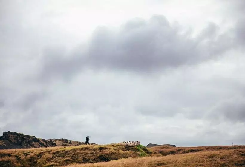 Hotelli Tussock Lodge Waipiata