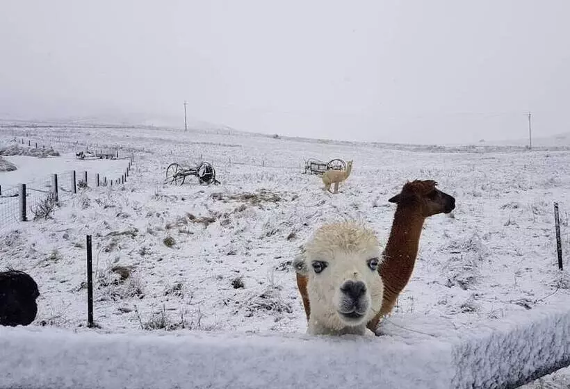 Hotelli Tussock Lodge Waipiata
