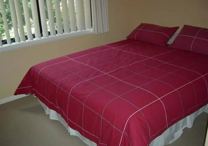 ベッドアンドブレックファースト Busy Buzz