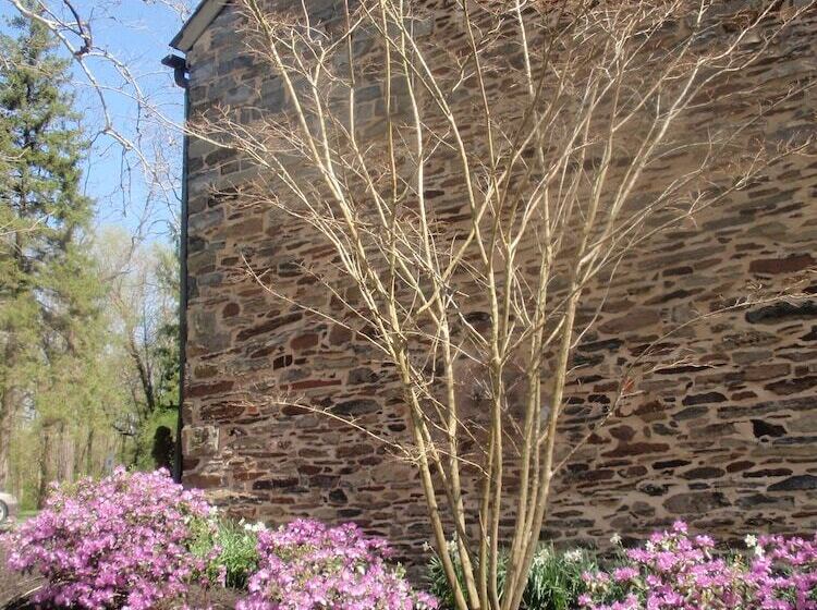 צימר Inn At Glencairn