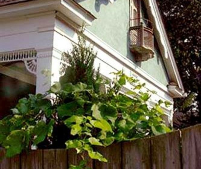 مبيت وإفطار Maison Lavigne