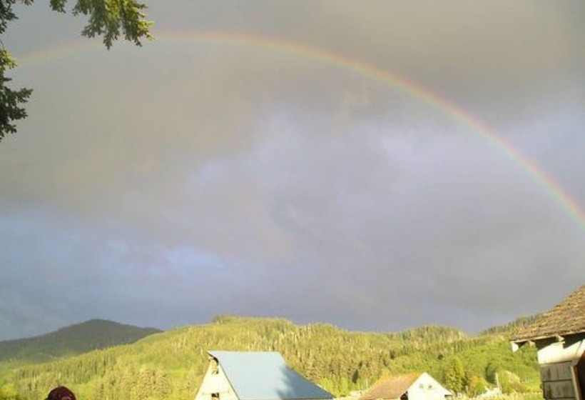 ベッドアンドブレックファースト Miller Tree Inn