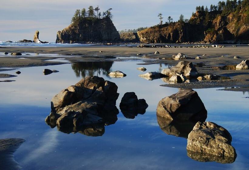 ベッドアンドブレックファースト Miller Tree Inn