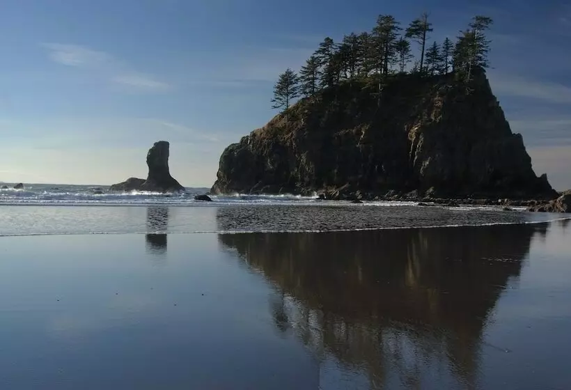 住宿加早餐  Miller Tree Inn